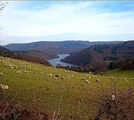 Fewo-am-nationalpark-eifel