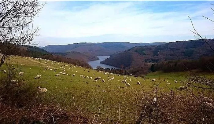 Fewo-am-nationalpark-eifel